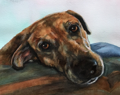Dog Portrait