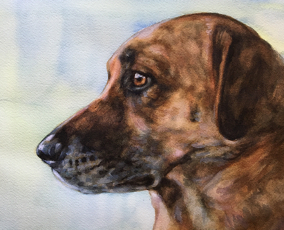 Dog Watercolor Portrait