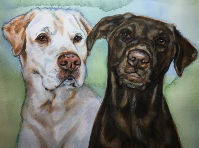 Chocolate Lab Labrador Retrievers