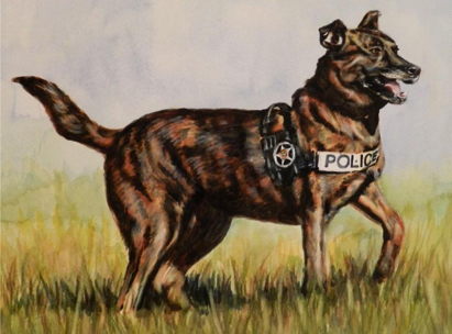 Police Dog Belgian Malinois