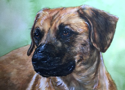Dog Watercolor