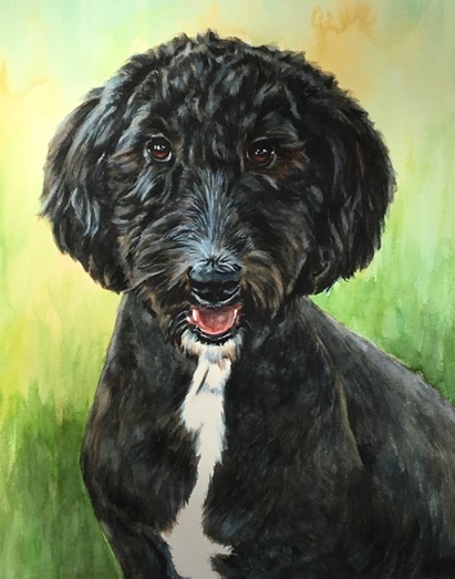 Sheepadoodle Therapy Dog