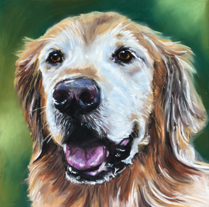 Golden Retriever Art