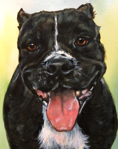 Pitbull Art