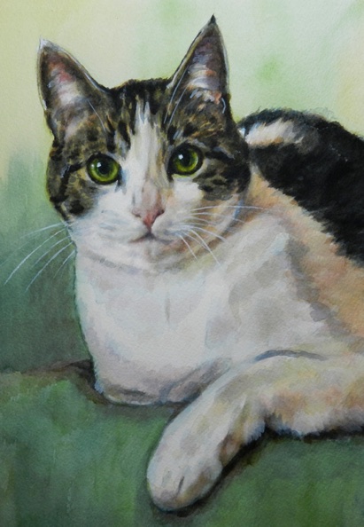 Cat Watercolor