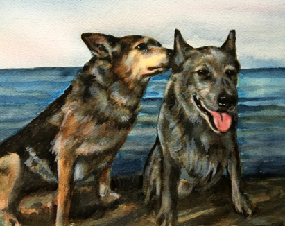 Dogs on Beach