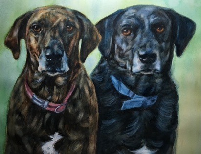 Catahoula Plott Hound