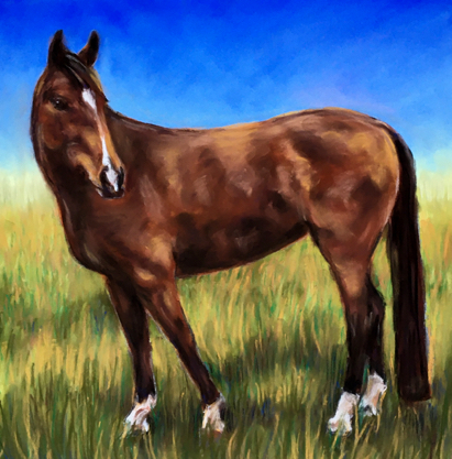 Horse Portrait Pastel