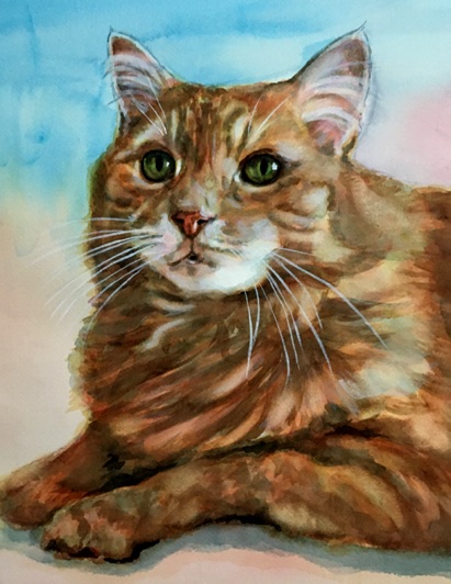 Ginger Longhaired Tabby