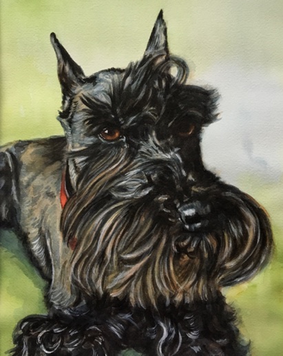 Scottie Scottish Terrier