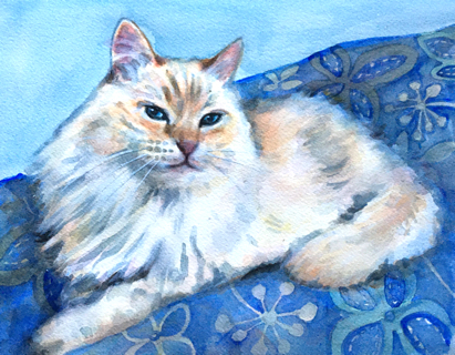 Cat Blue Eyes