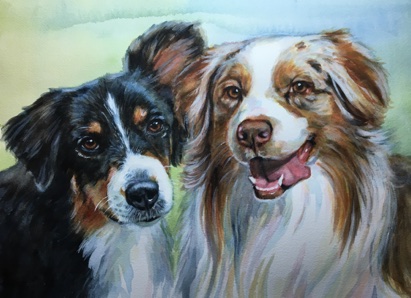 Australian Shepherds Art