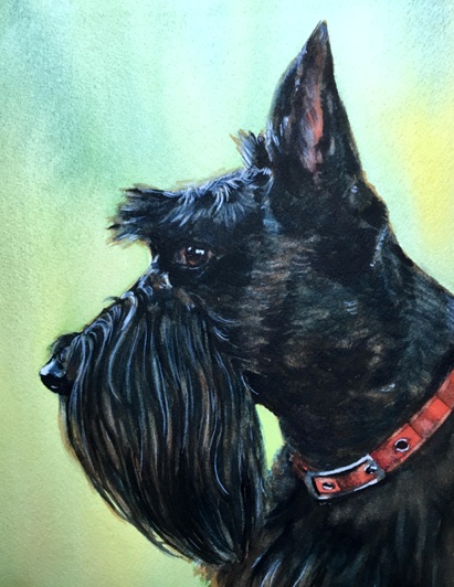 Scottie Scottish Terrier
