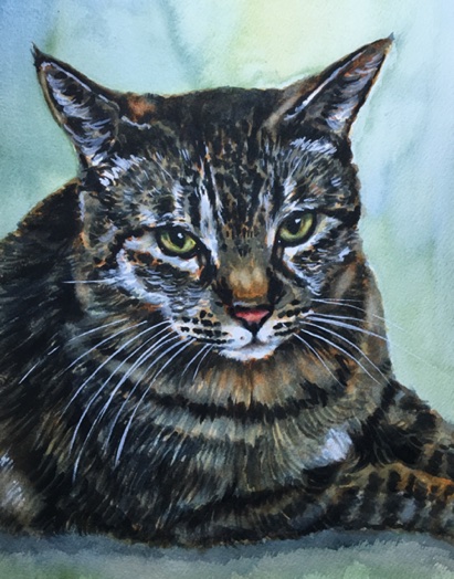 Tabby Cat