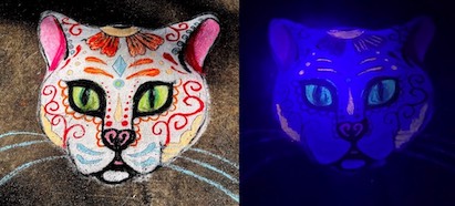 Sugar Skull Cat