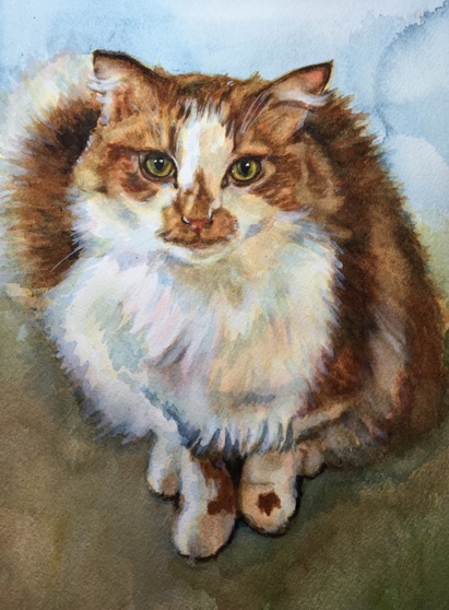 Ginger Cat